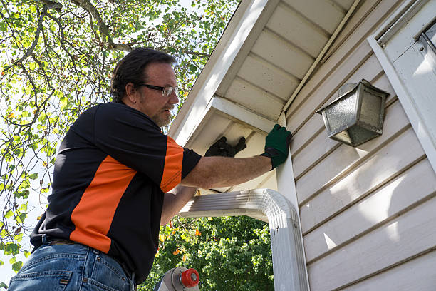 Shed Removal in Little Falls, MN